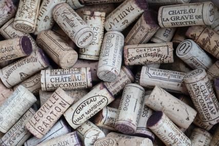 Wine degustation with 