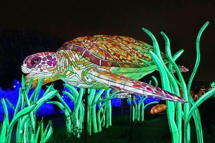 Illuminated Evolution at the Jardin des Plantes