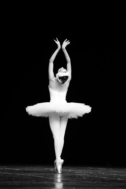 Discover the Ballet Don Quixote at the Opéra Bastille!